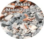 Ankara Moloz Toplama